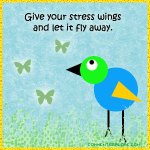 Fly Away Stress
