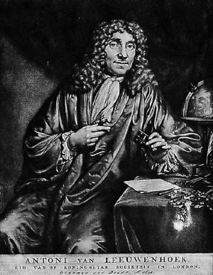 Anton Van Leeuwenhoek Cell Theory