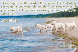 11 Quotes From Famous Authors to Pump You Up For Springtime!