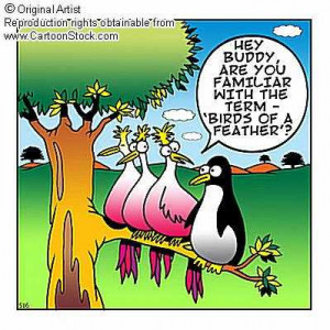 Birds of Feather...?