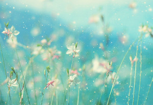 Posted by Melissa Ann about four years ago