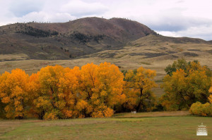 Autumn show us that death and life are simultaneous.