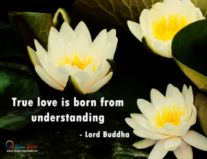 Lily are on the water, Life quote by Lord Buddha with lily