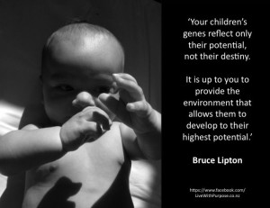 Dr Bruce Lipton Quotes
