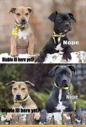 ... for Diablo 3 - Diablo 3 here yet? Nope! funny dogs, chistoso, humor
