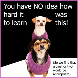 ... page about dog quotes go to the main page picture quotes jump back to