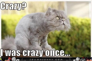 Crazy Cat Was Crazy Once