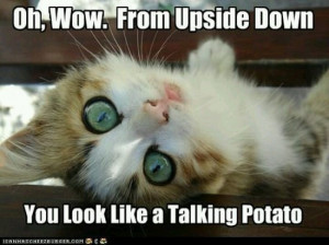 you look like a talking potato add to my collection comment popular ...