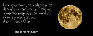 Thoughtsnlife.com : In the very moment, the seeds of a perfect destiny ...