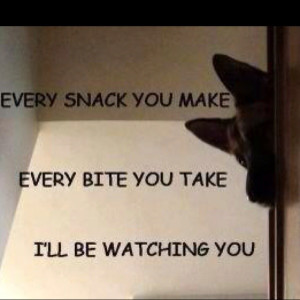 Every snack you make....every bite you take....I'll be watching you ...