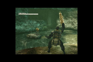 Metal Gear Solid 3 Snake Eater Wallpaper