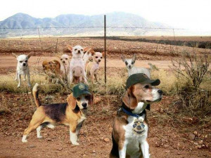 LETTER FROM A RETIRED BORDER PATROL AGENT