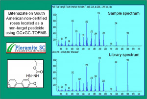 jimmy buffett new orleans jazz fest