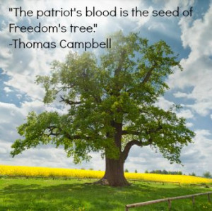 15 Powerful Quotes of War in Honor of Memorial Day | Babble