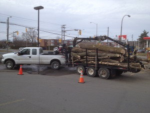 Log Trailer with Grapple Loader