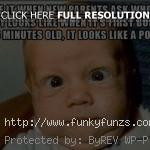 quotes for new parents funny baby quotes for new parents