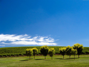 Schaue dir den Hintergrundbild Landschaft in der Größe von 1600x1200 ...