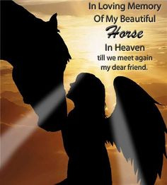Horses in Heaven Quotes | In Loving Memory Of My Horse In Heaven More