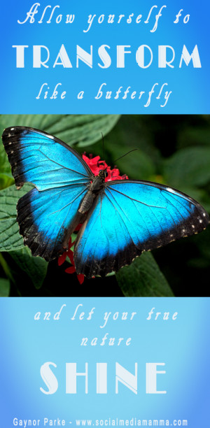 Butterfly Inspirational quotes Inspiring quotes Gaynor Parke www ...