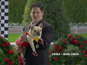 Mark Cuban Funny