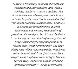 Love is a temporary madness. Louis de Bernieres quote