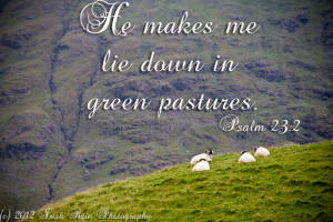 psalm 23 he makes me lie down in green pastures