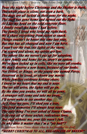 Pitbull Poems And Quotes Pictures Picture