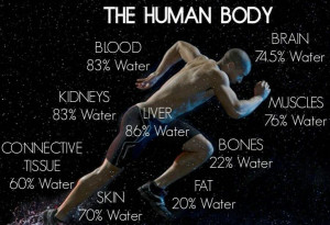 water your bones are about 22 % water skin is about 70 % water fat is ...