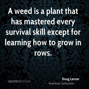 Quotes About Life And Weed. QuotesGram
