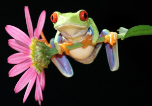 Too Proud You Are Your Beauty Hollow From The Inside