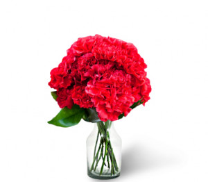 Red Carnation Flower Arrangements Red carnation