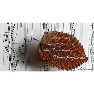 20 sweet lovely sorry quotes, sorry cards reallly nice quotes to say s ...