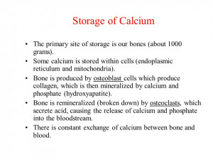 Free Quotes Pics on: Calcitonin And Pth Calcium Homeostasis