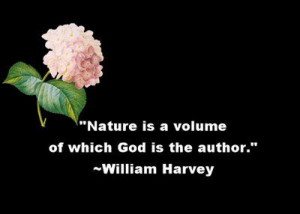 25 Mind Blowing Nature Quotes