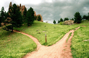 Two roads diverged in a wood, and I - I took the one less traveled by ...