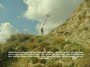 My Favourite Walking Quotes