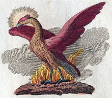 phoenix depicted in a book of legendary creatures by FJ Bertuch ...