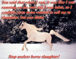 want to stop horse slaughter to!