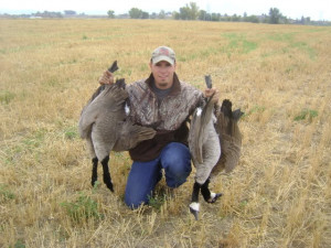 Thread: the lesser are killing geese