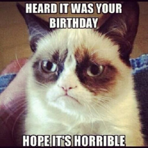 Grumpy Cats Birthday Funny Pictures Quotes Photos Pics Images Picture