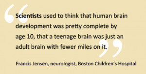 While 95 percent of the human brain has developed by the age of six ...