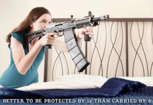 Gun protection