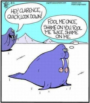 Funny-cartoon-Fool-me-once-resizecrop--.jpg