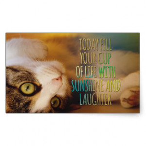 Fill Your Cup Of Life Cat Motivational Quote Rectangular Sticker