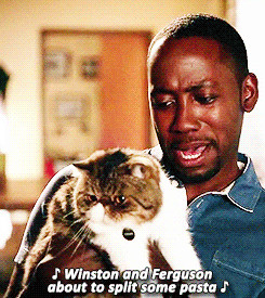 They actually brought Ferguson the cat back! Hallelujah!