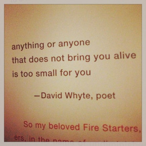 ... that does not bring you alive is too small for you david whyte poet