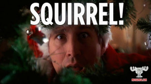 Squirrel! - Christmas Vacation quote, classic movie
