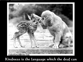 kindness quotes photo: mark twain quotes wisdomquotes-kindness.jpg