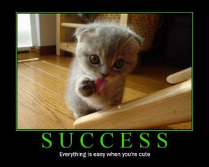 Motivational Posters on Cat Inspirational Poster 14 Large