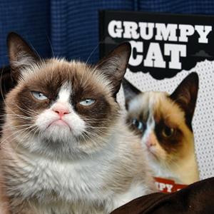 Grumpy Cat (© Amanda Edwards/WireImage/Getty Images)